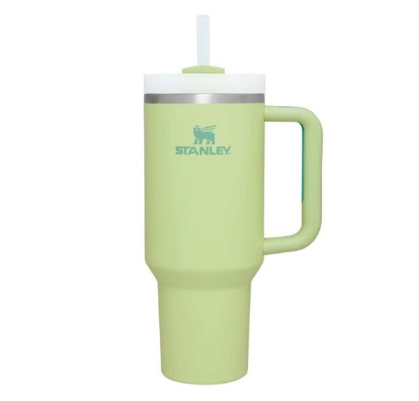 STANLEY 30 OZ LIGHT GREEN